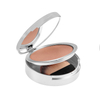 Tints Feast Bye Bye Contour Powder 