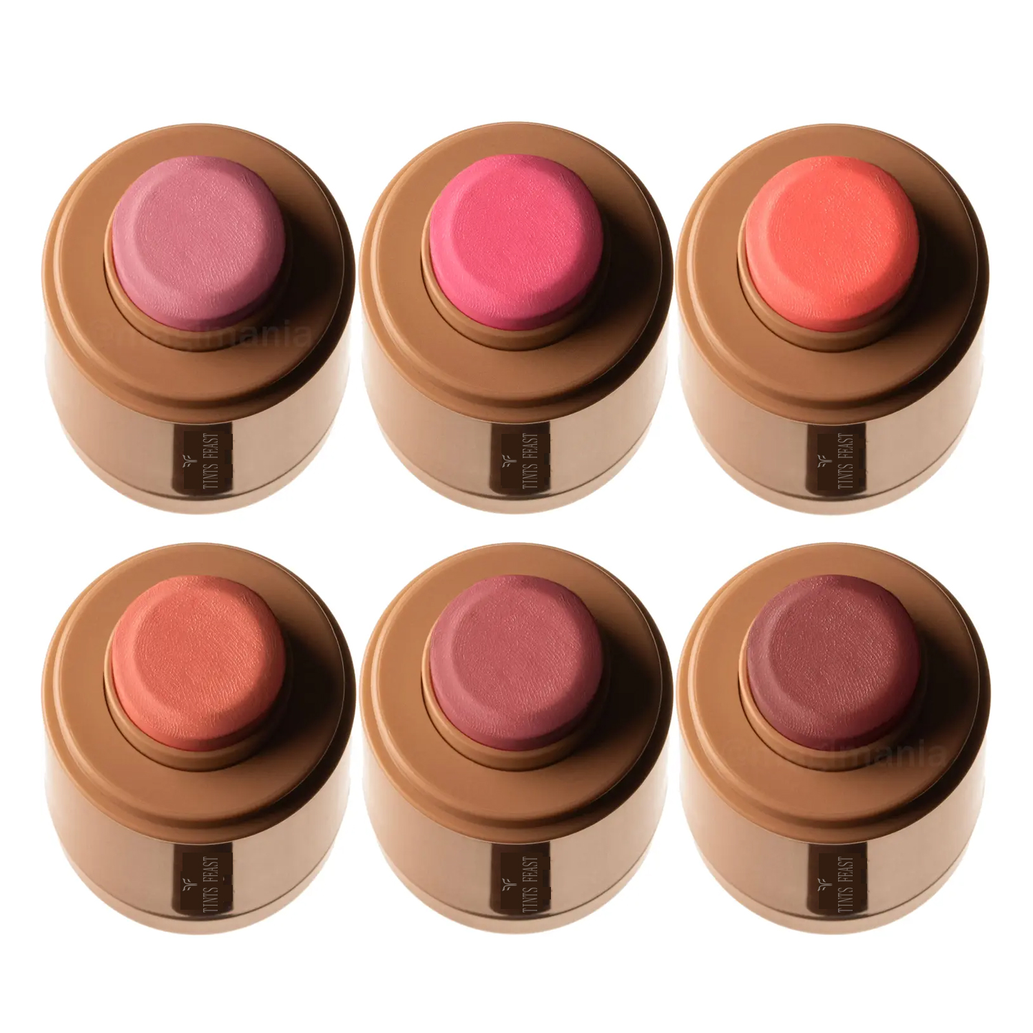 Tints Feast Pocked Blush Stick