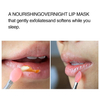 LIP SLEEPING MASK--NOURISH & HYDRATE