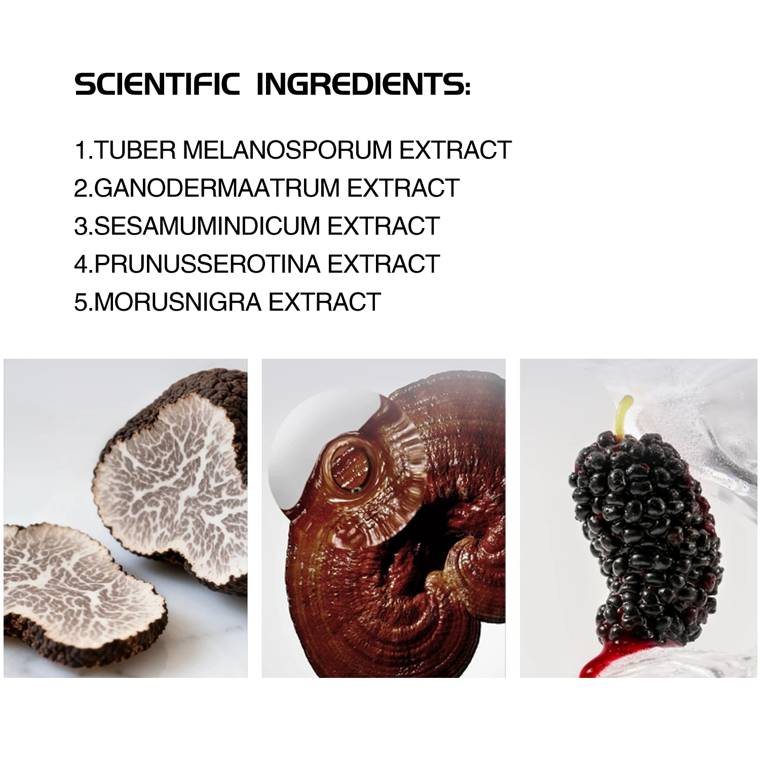BLACK TRUFFLE CLEAN &MOISTURIZING MAKEUP REMOVER OIL